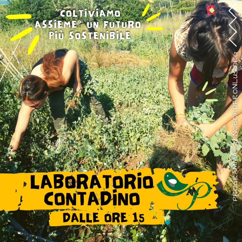 OPENDAY_LabPanta